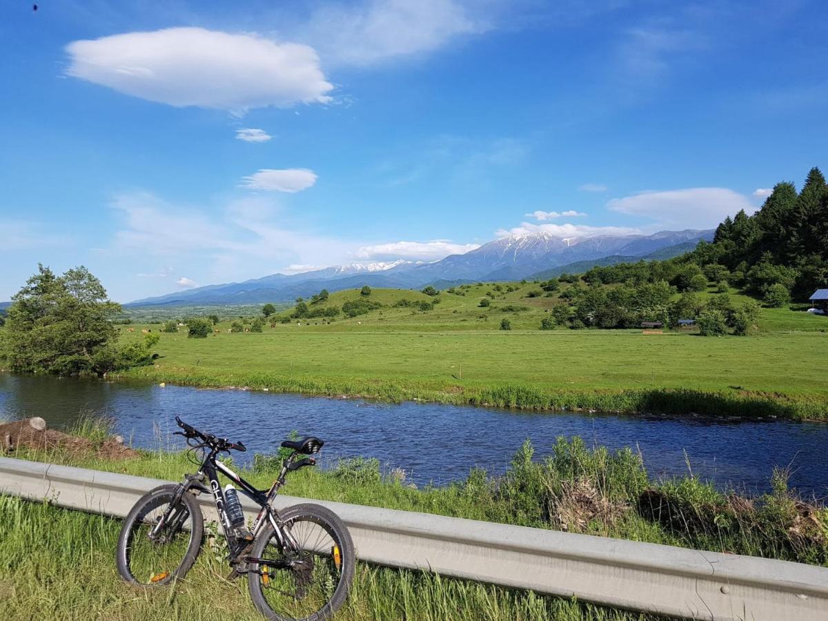 Casuta Din Rusca Holiday home